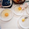 Osservazione di vari tipi di uovo